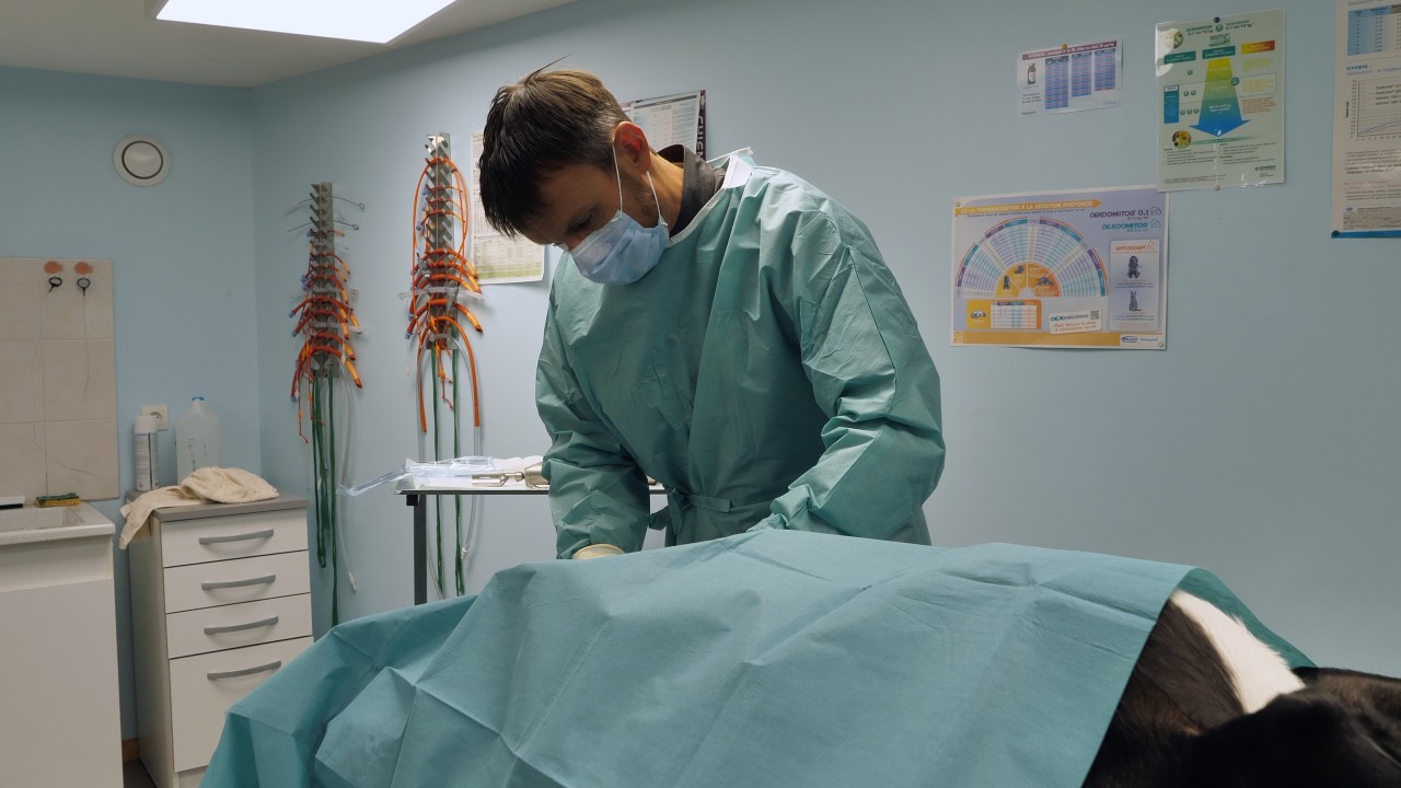 Chirurgie
